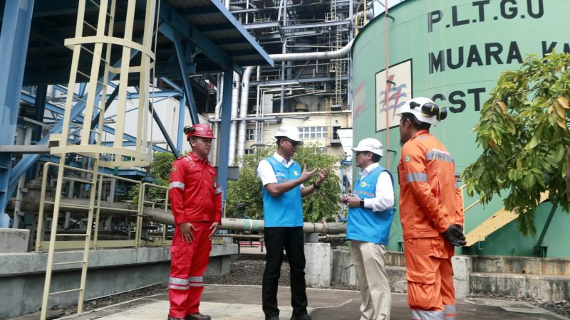 Pembangkit Listrik Masuk Peta Jalan Hidrogen dan Amonia, PLN Didorong Uji Skema Bertahap